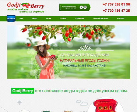 Ягоды годжи #1